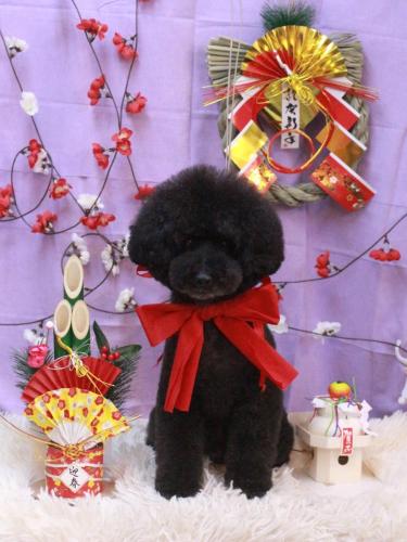 20230121ラブくん